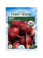 Ferry Morse Beet - Detroit Dark Red Organic