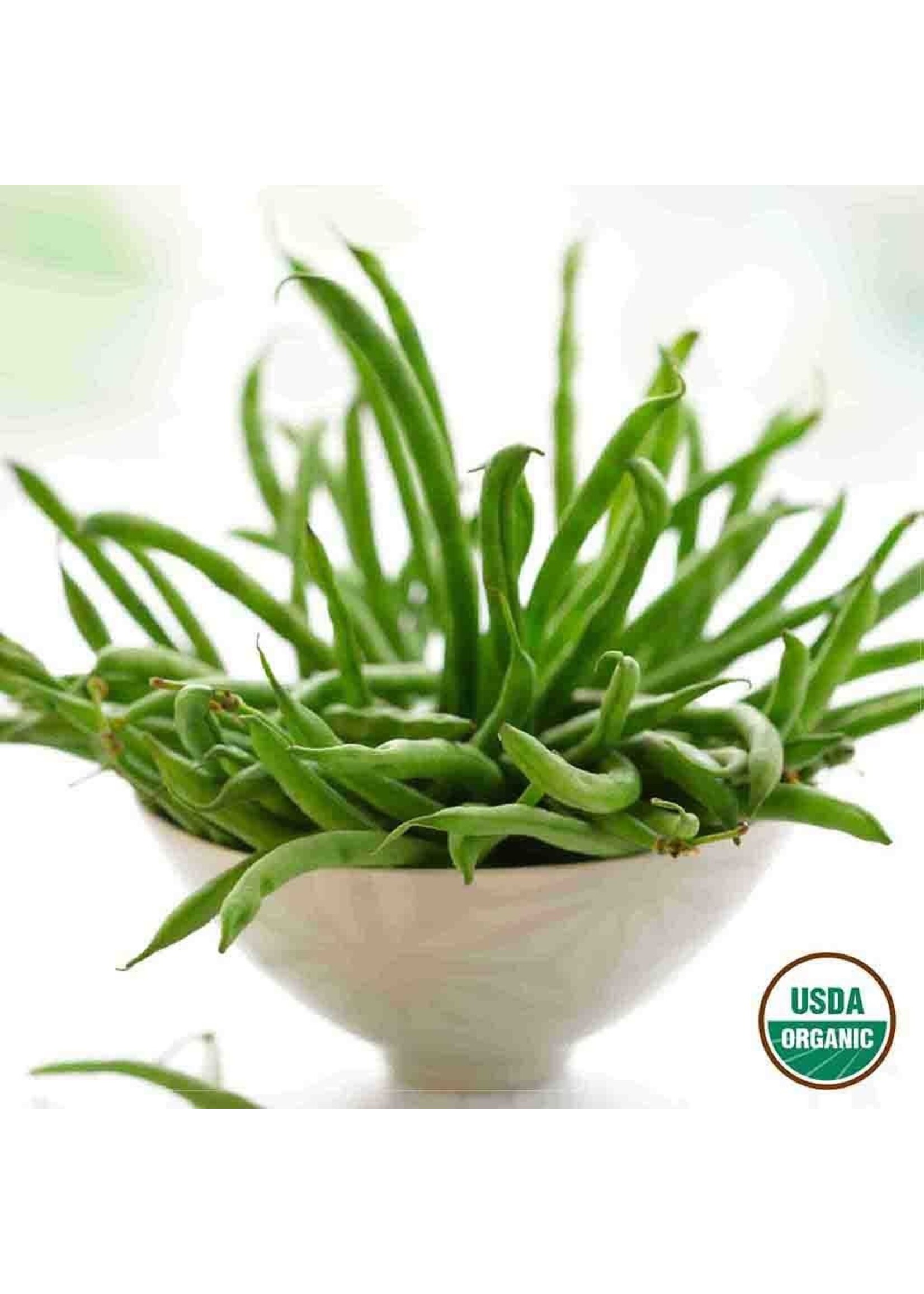 Ferry Morse Bean - Bush Blue Lake 274 Organic