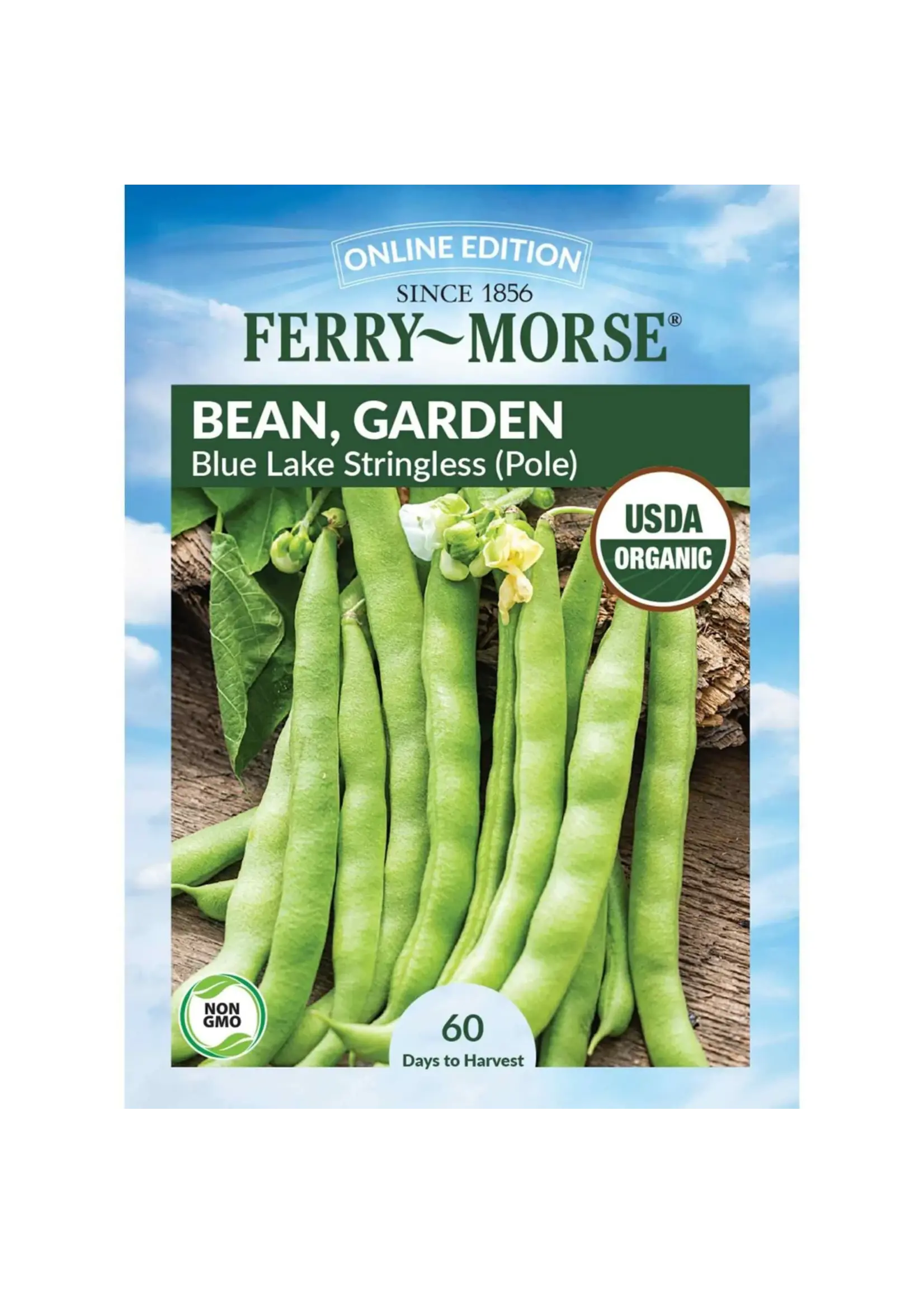 Ferry Morse Bean - Blue Lake Stringless Pole Organic