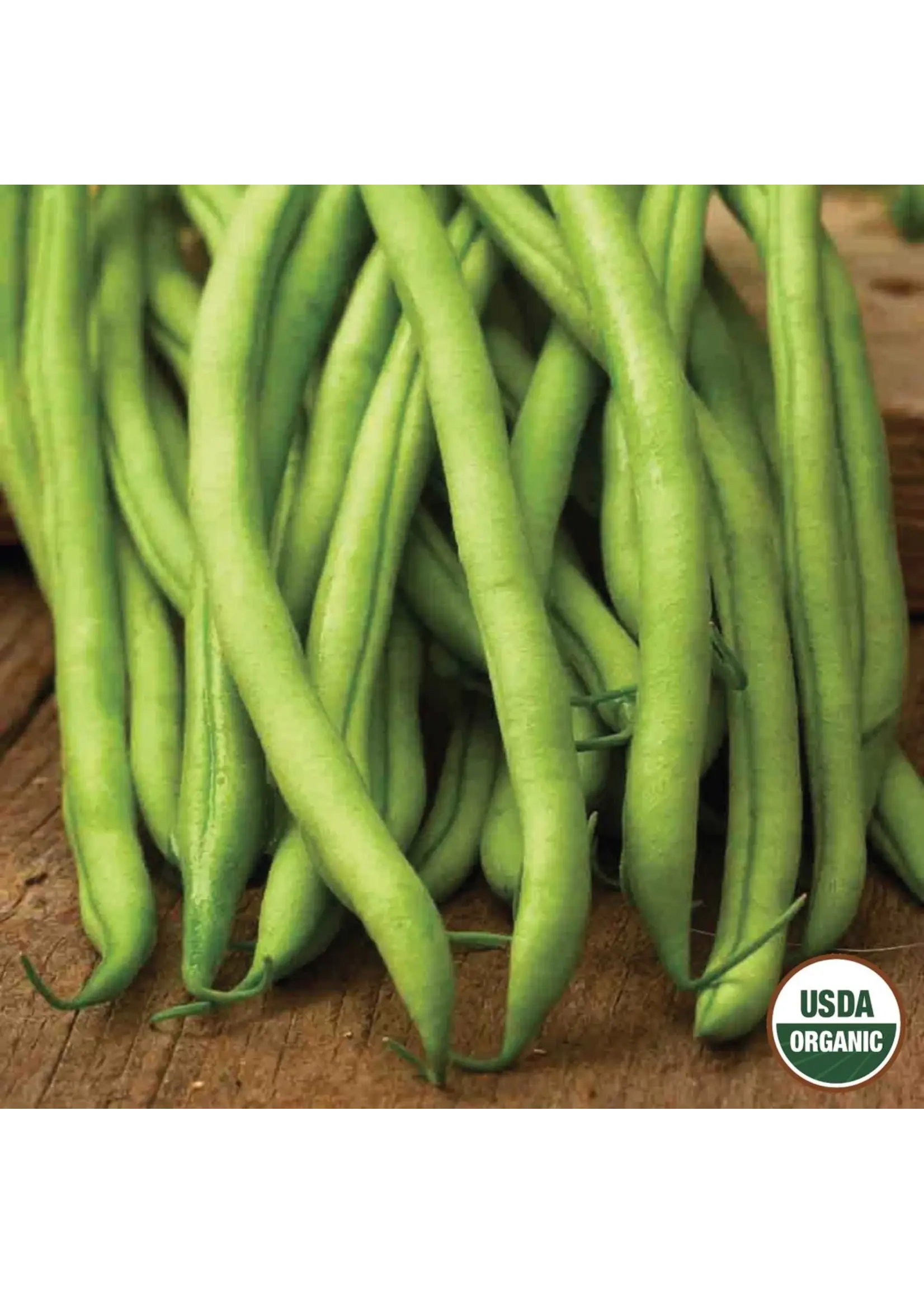 Ferry Morse Bean - Blue Lake Stringless Pole Organic