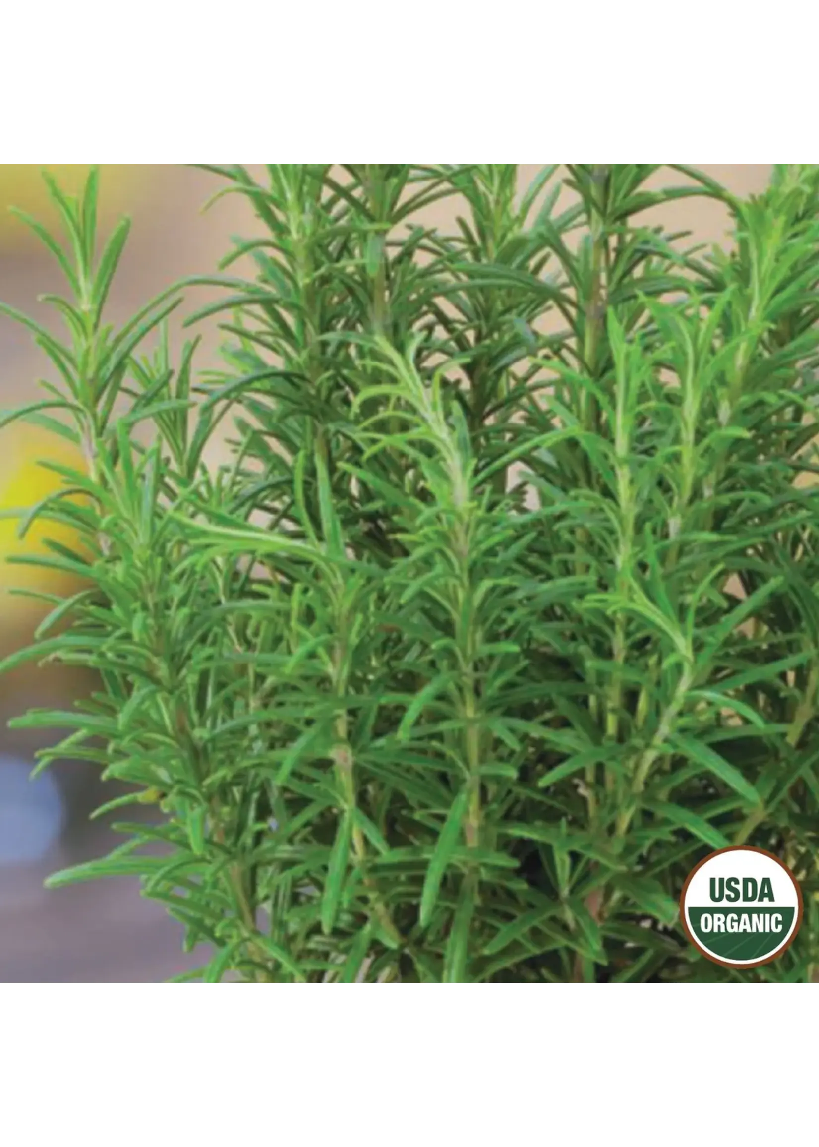 Ferry Morse Rosemary Organic