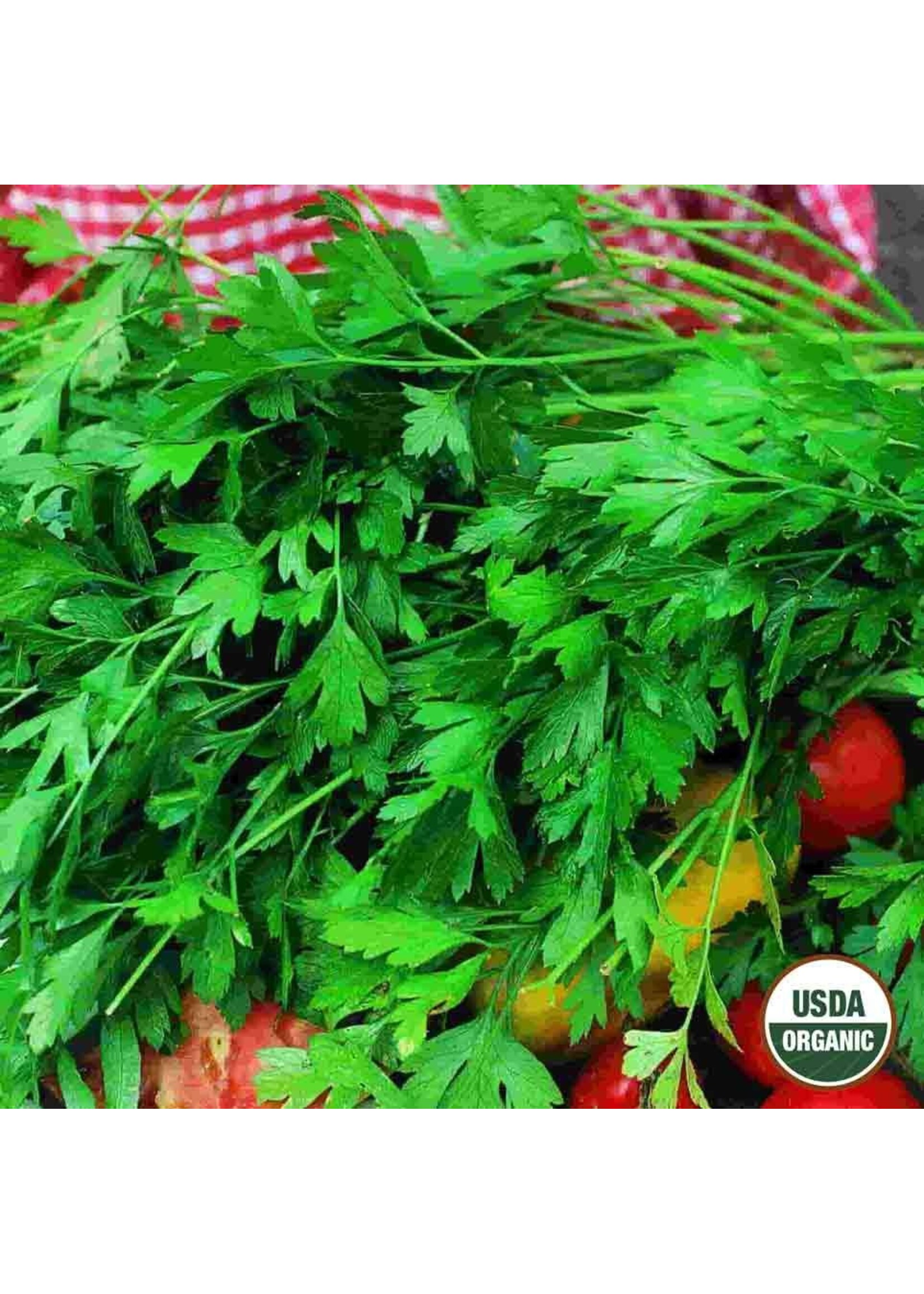 Ferry Morse Parsley - Flat Italian Organic