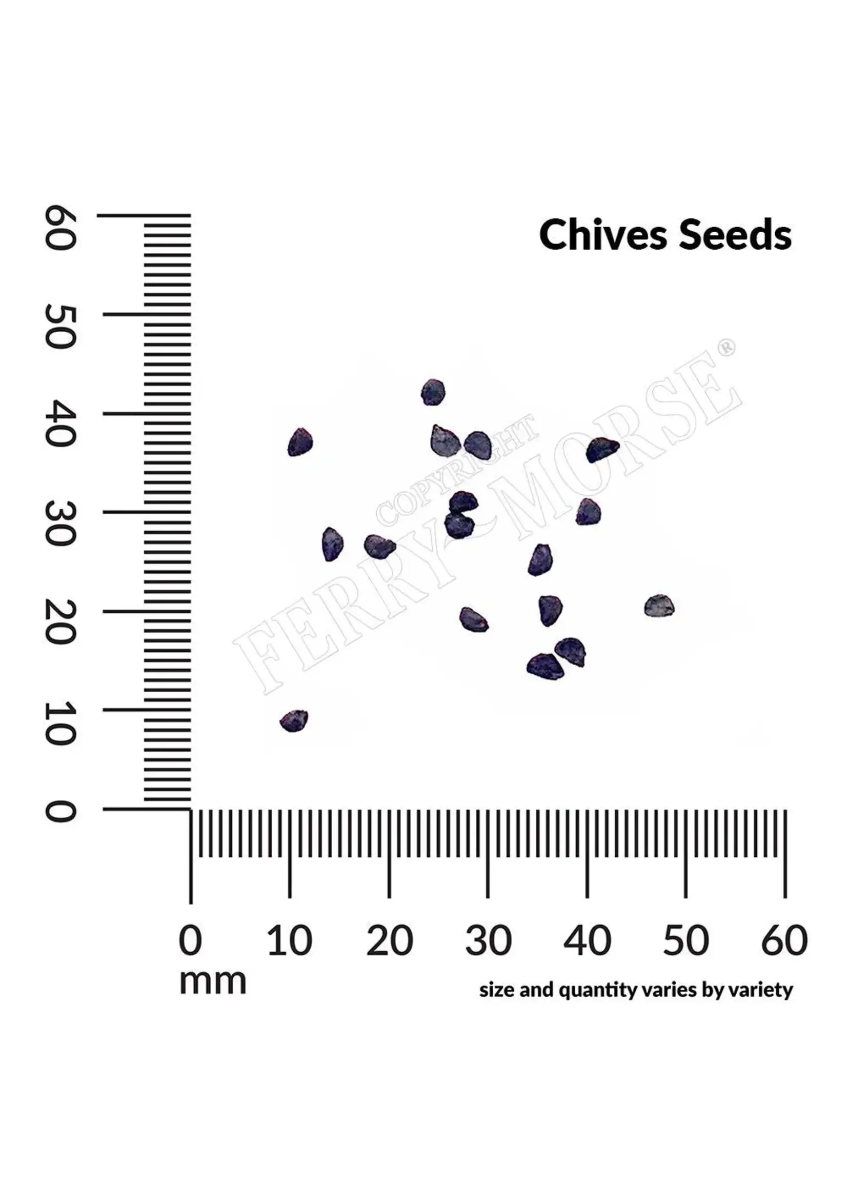 Ferry Morse Chives Organic