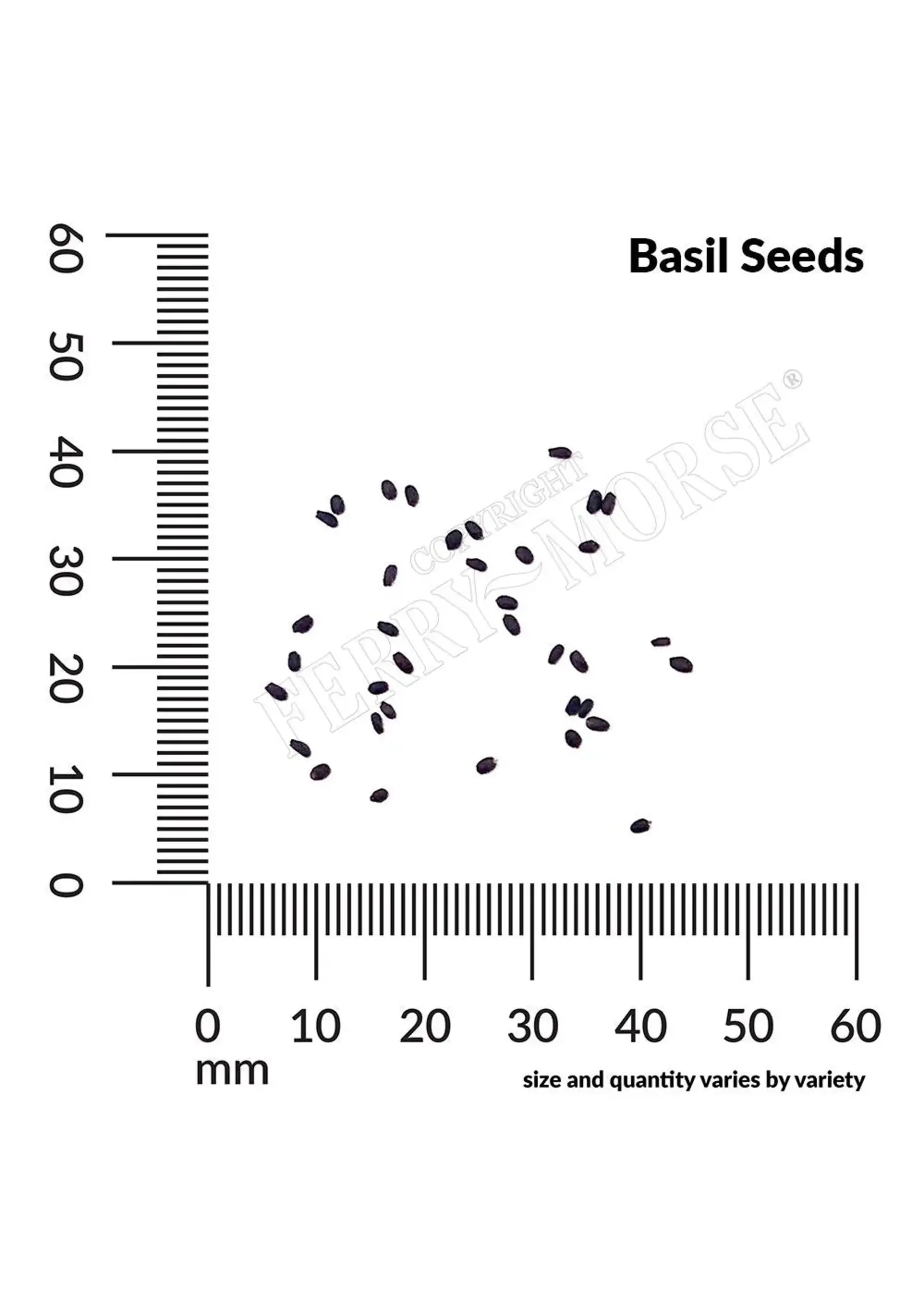 Ferry Morse Basil - Sweet Organic