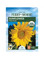 Ferry Morse Sunflower - Mammoth