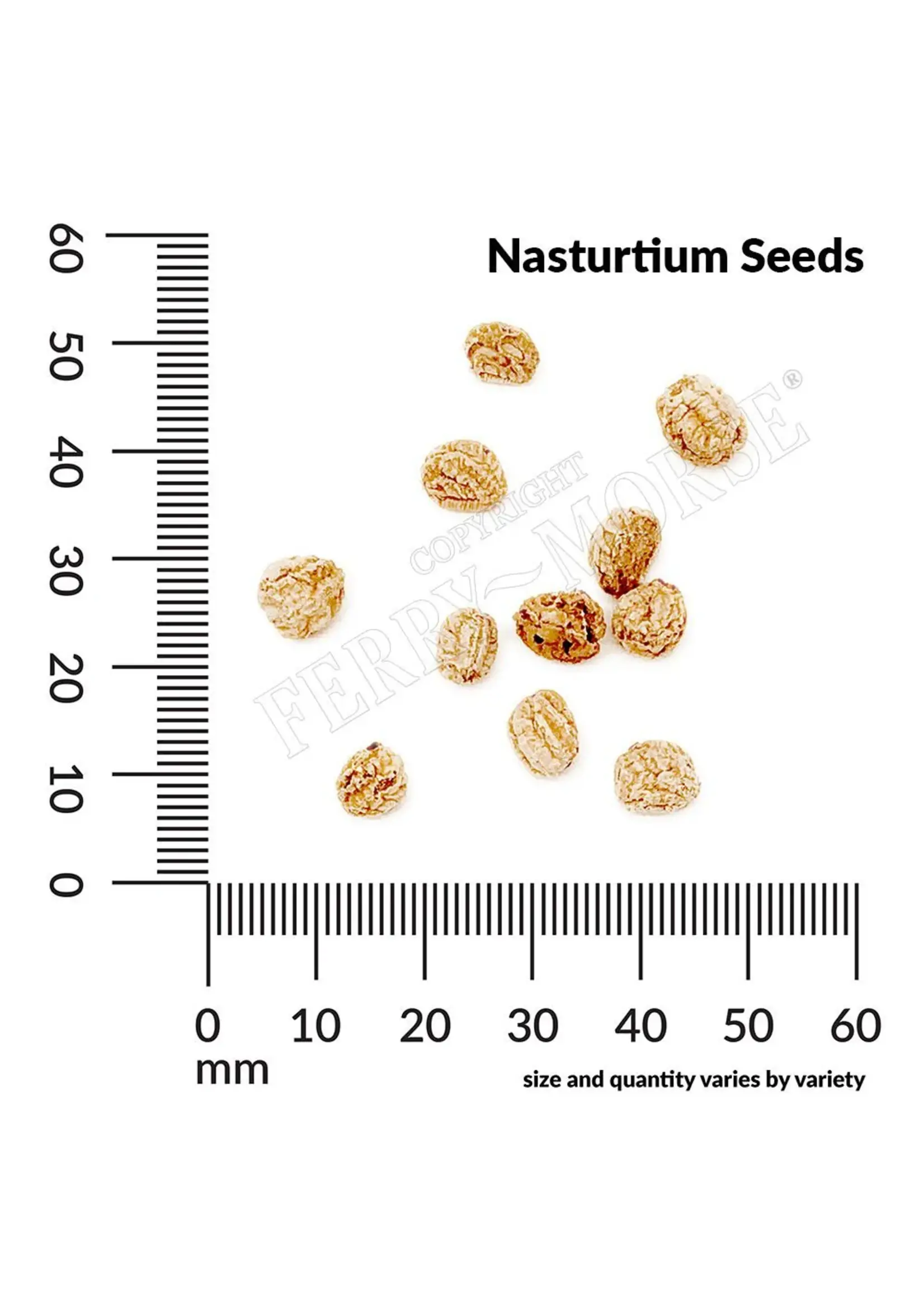 Ferry Morse Nasturtium - Jewel MC