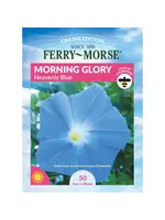Ferry Morse Morning Glory - Heavenly Blue