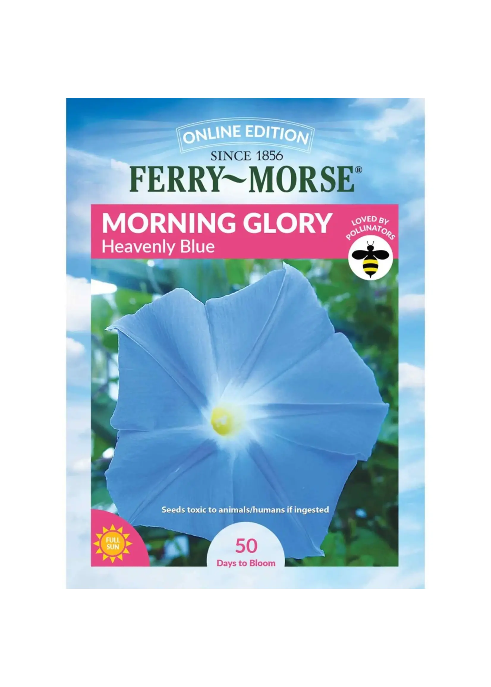 Ferry Morse Morning Glory - Heavenly Blue