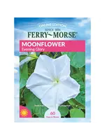 Ferry Morse Moonflower - Evening Glory