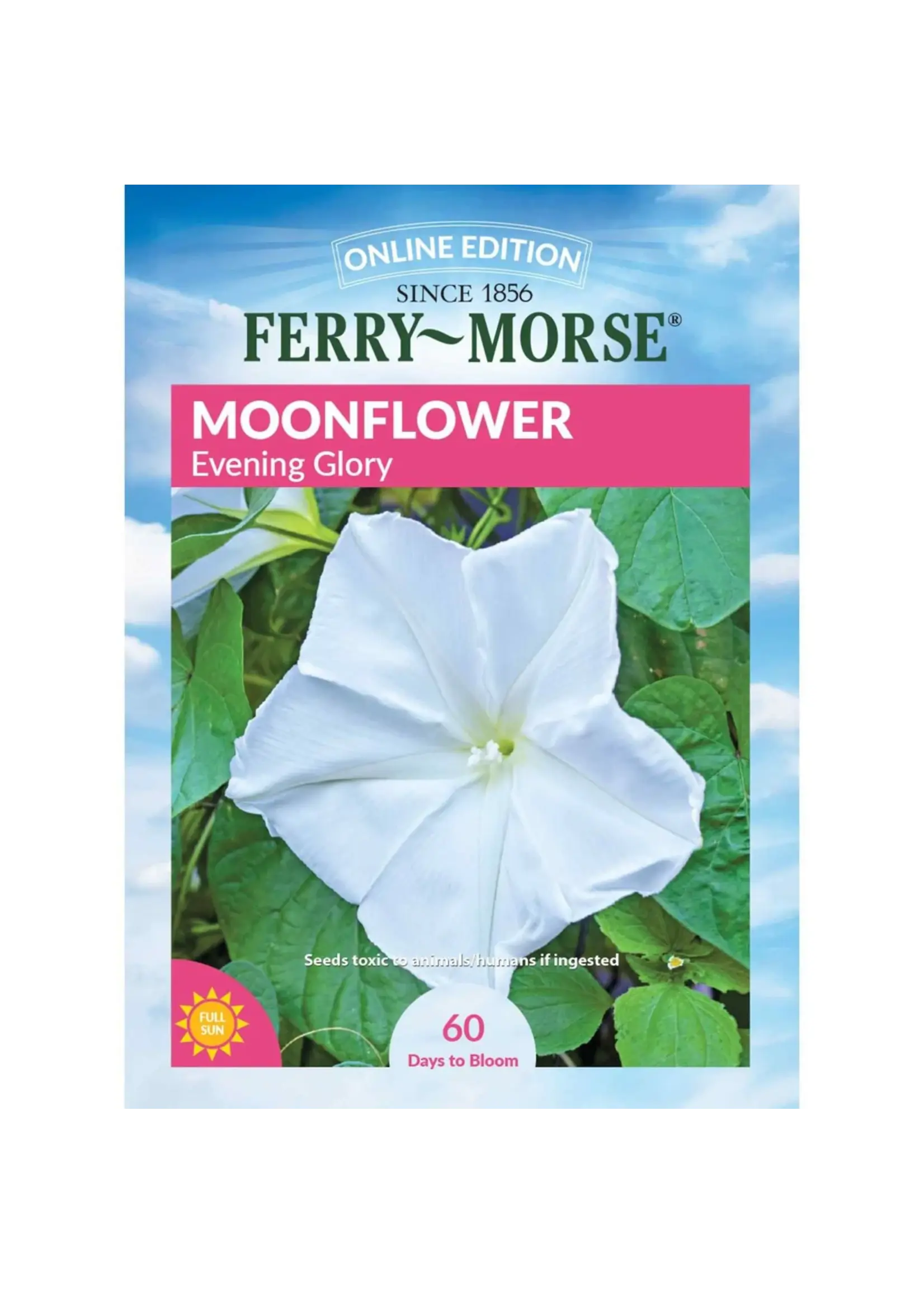 Ferry Morse Moonflower - Evening Glory