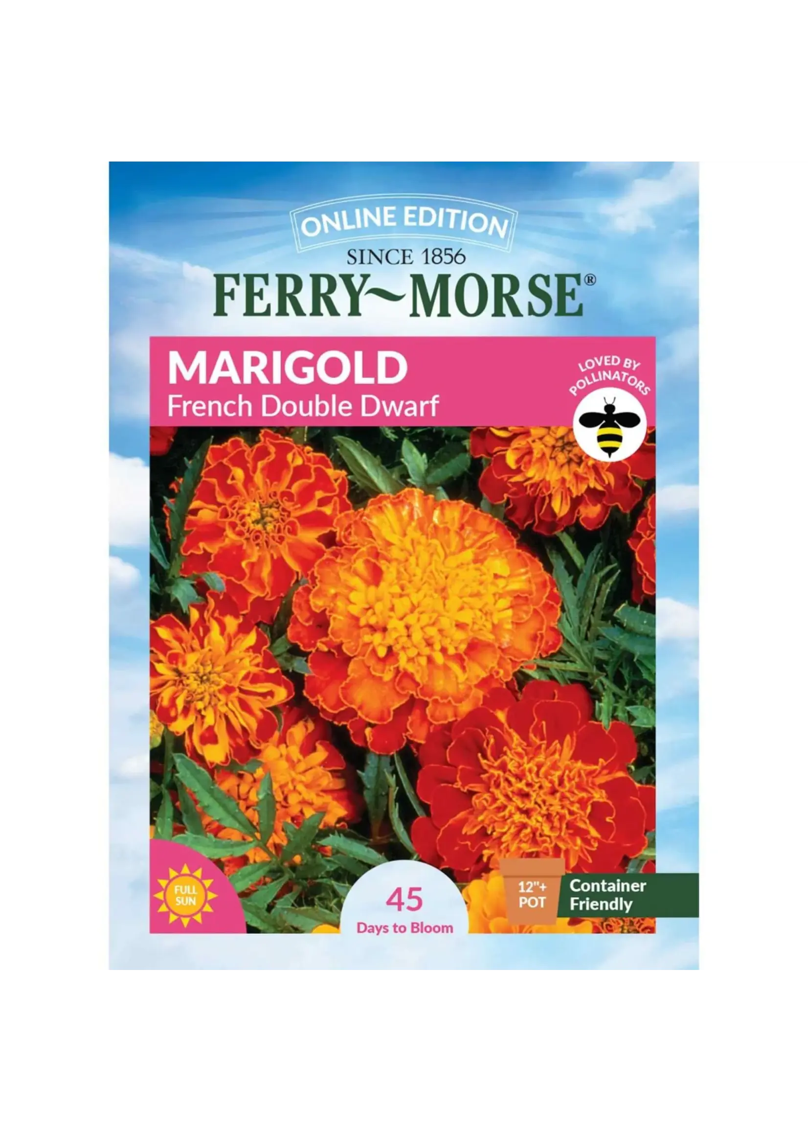 Ferry Morse Marigold - French Double Dwarf