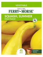 Ferry Morse Squash - Dixie Hybrid