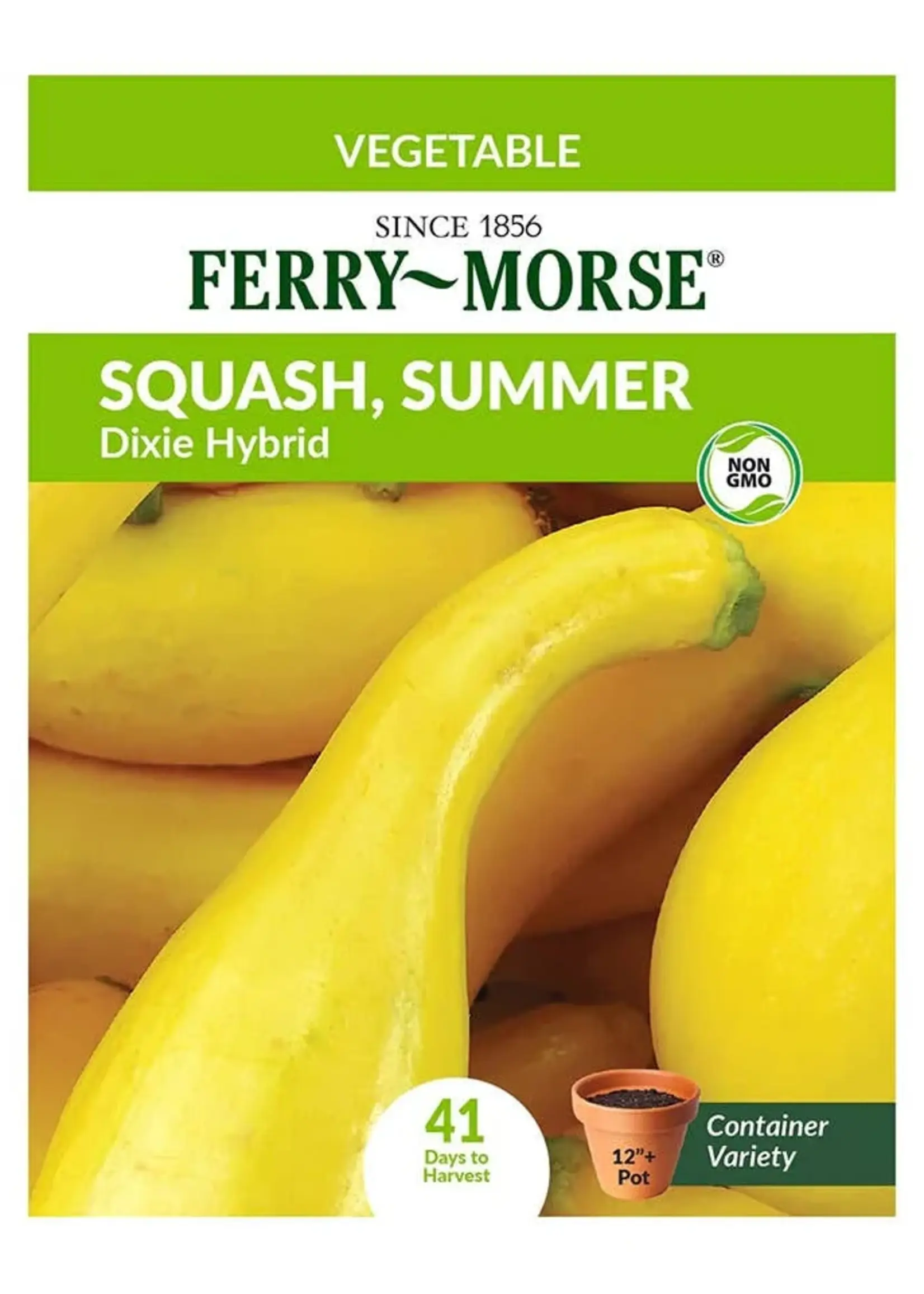 Ferry Morse Squash - Dixie Hybrid