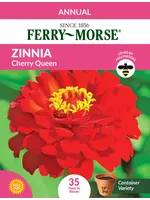 Ferry Morse Zinnia - Cherry Queen
