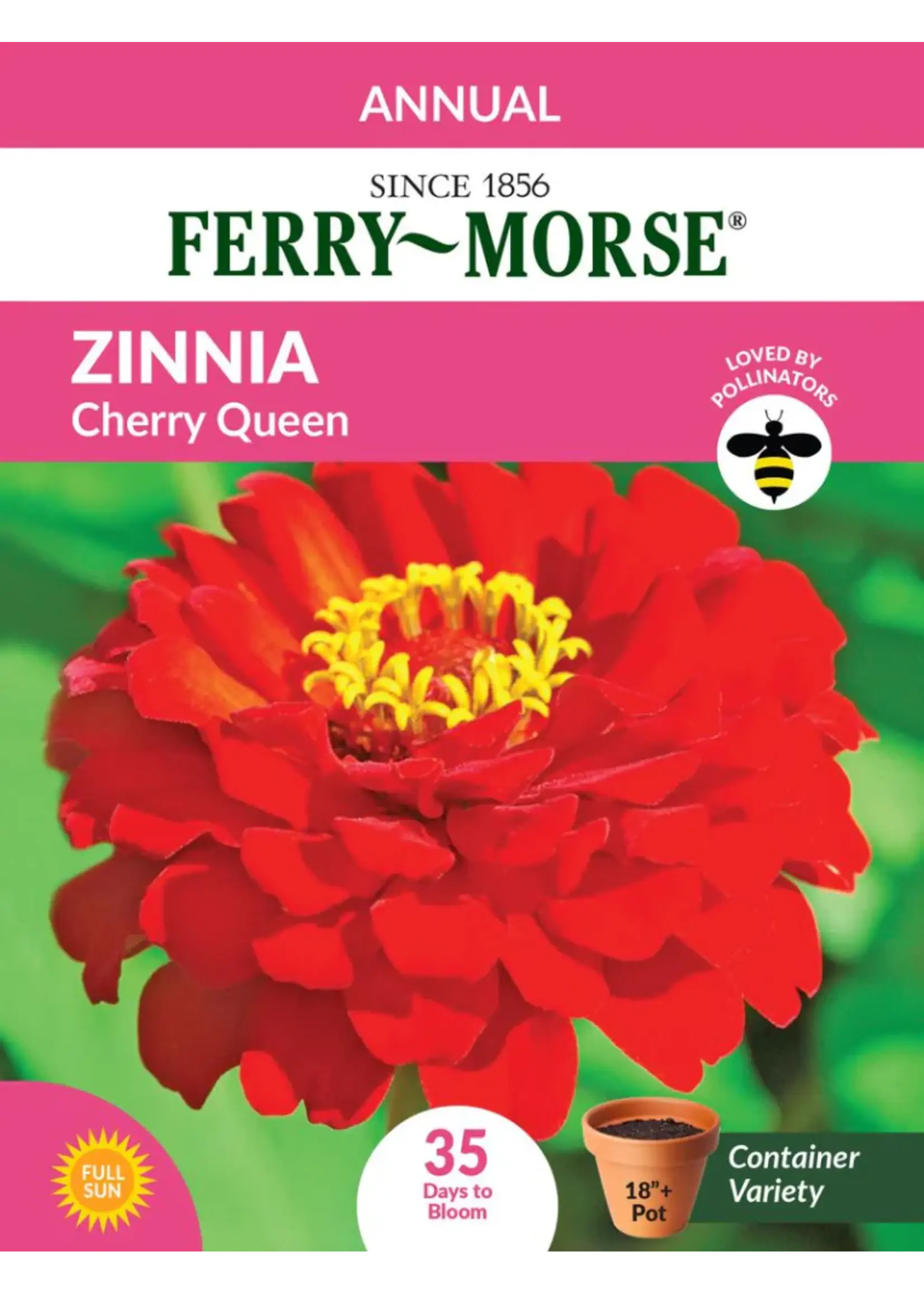 Ferry Morse Zinnia - Cherry Queen