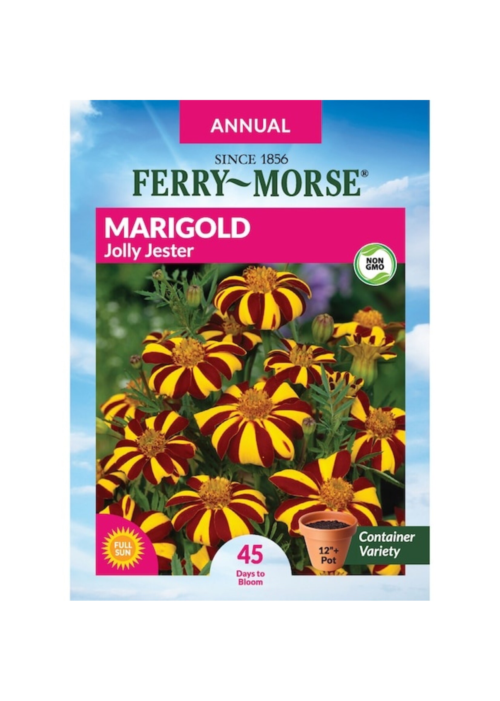 Ferry Morse Marigold - Jolly Jester