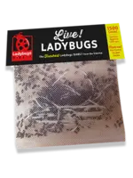 Lady Bugs Direct Lady Bugs Direct Live Ladybugs Freshest from the Source 1500 CT