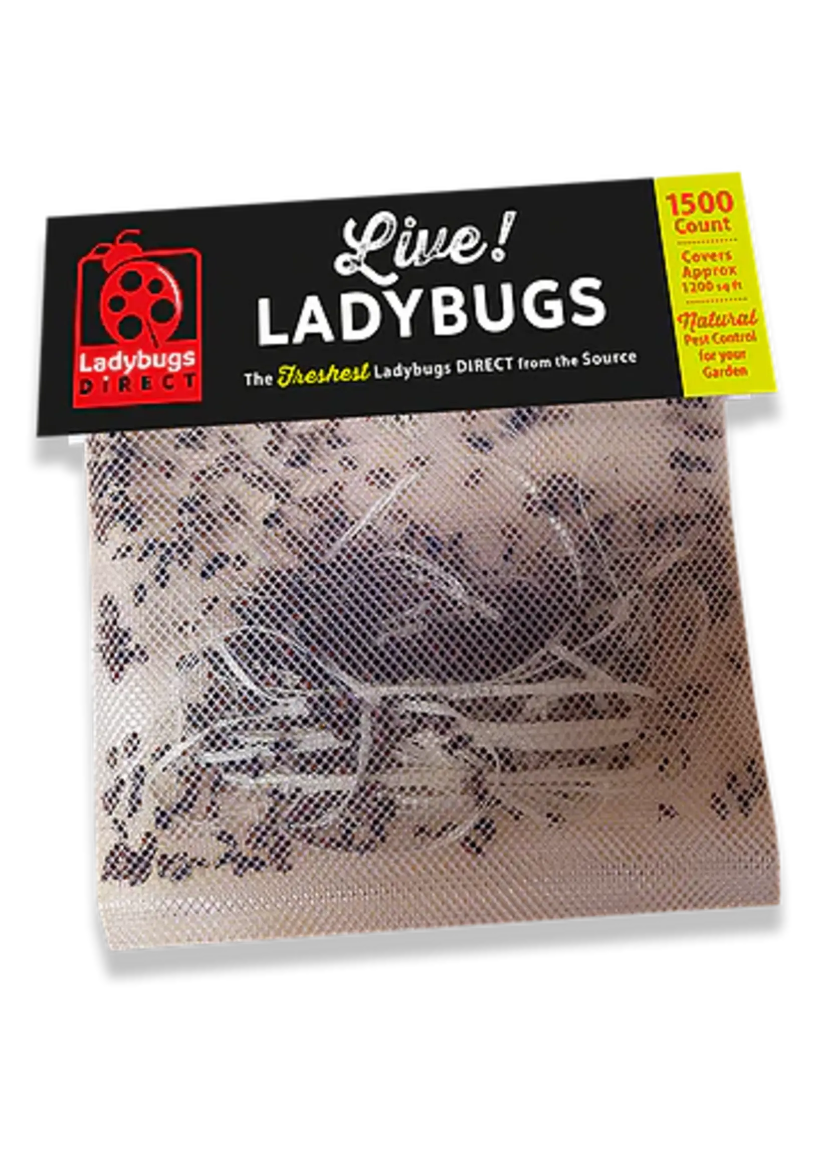 Lady Bugs Direct Lady Bugs Direct Live Ladybugs Freshest from the Source 1500 CT