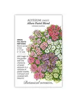 Botanical Interests Alyssum Sweet Allure Pastel Blend