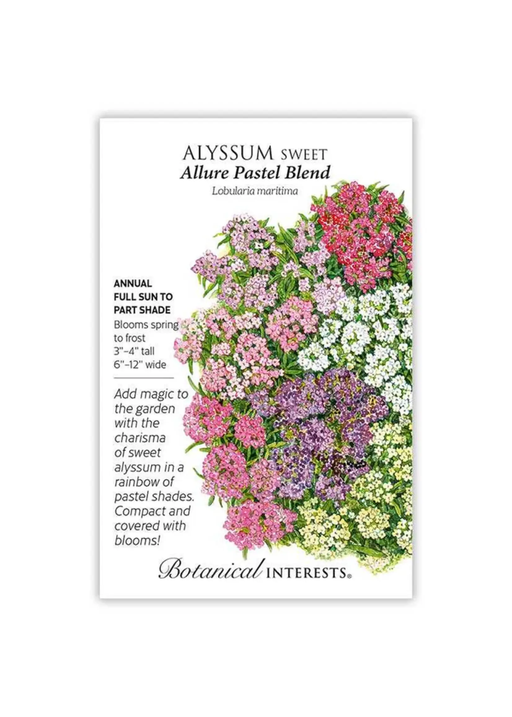 Botanical Interests Alyssum Sweet Allure Pastel Blend
