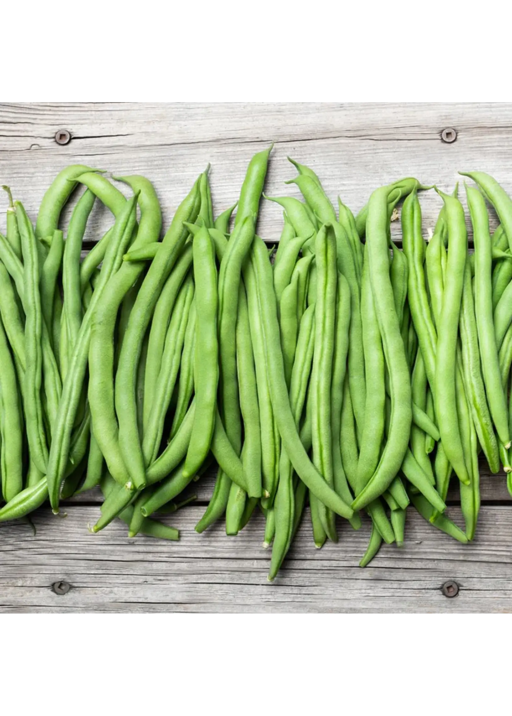 Botanical Interests Bean Pole Blue Lake FM-1K 60g