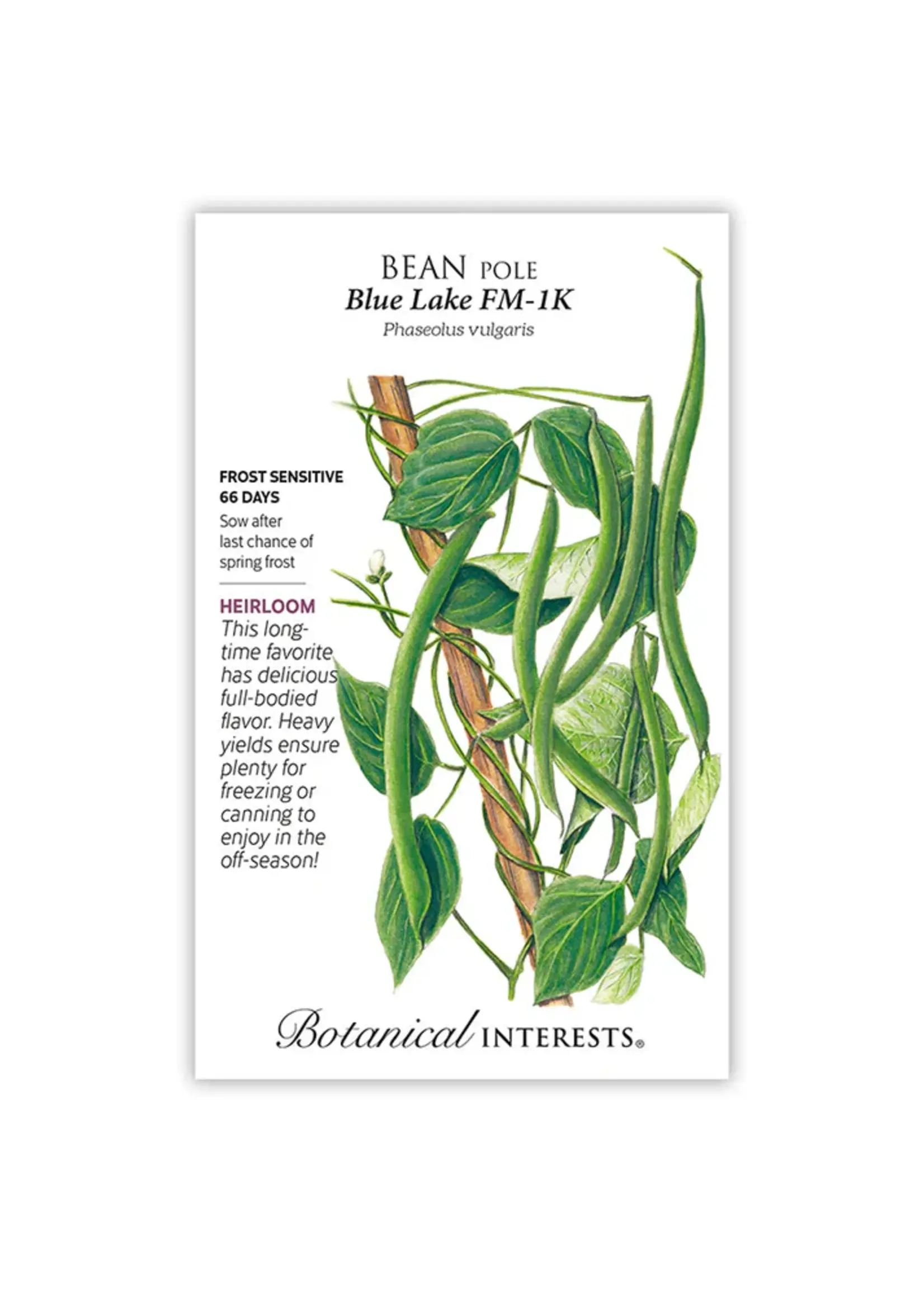Botanical Interests Bean Pole Blue Lake FM-1K 60g