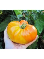 Quail Seeds Tomato Pineapple