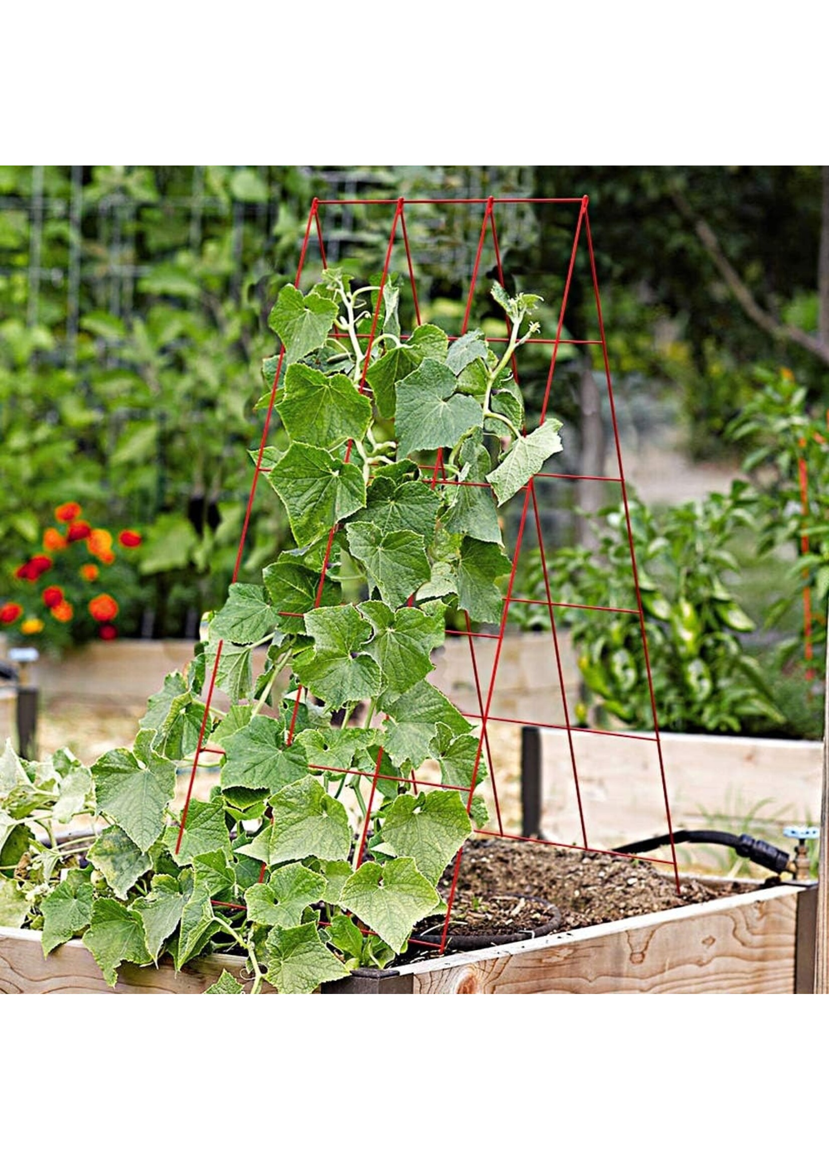 Panacea Panacea A-Frame Plant Trellis Support