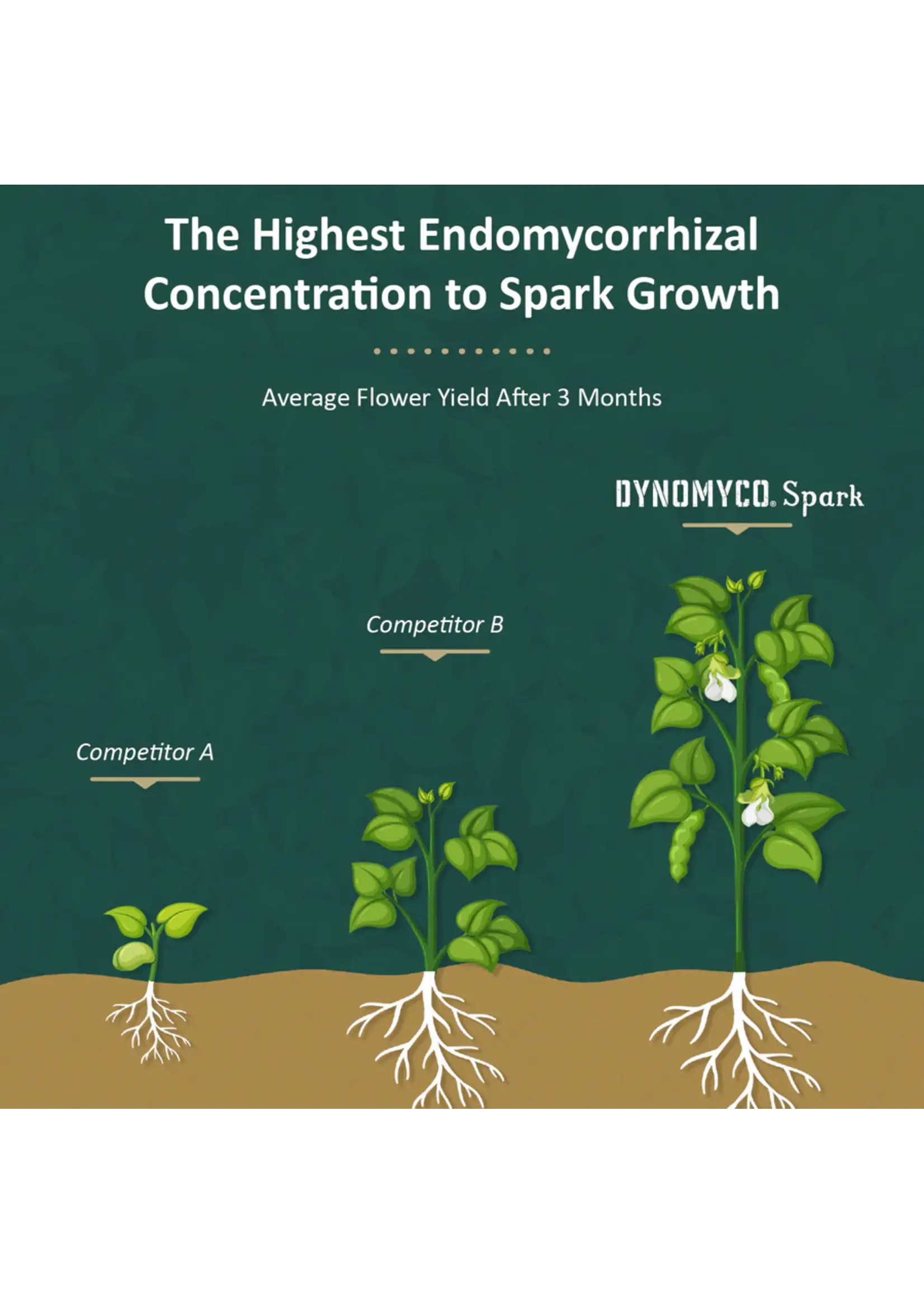 DYNOMYCO DYNOMYCO Spark Mycorrhizal Inoculants WP Wettable Powder 6oz