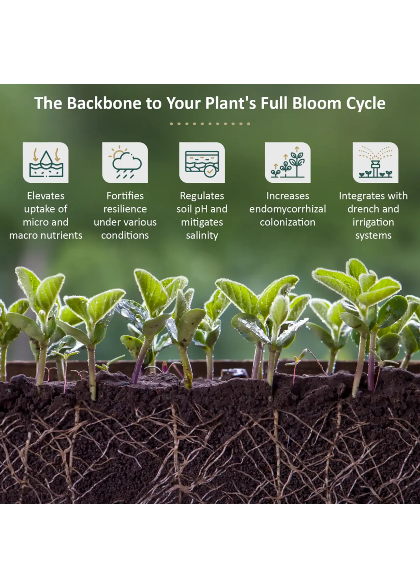 DYNOMYCO DYNOMYCO Spark Mycorrhizal Inoculants WP Wettable Powder 6oz