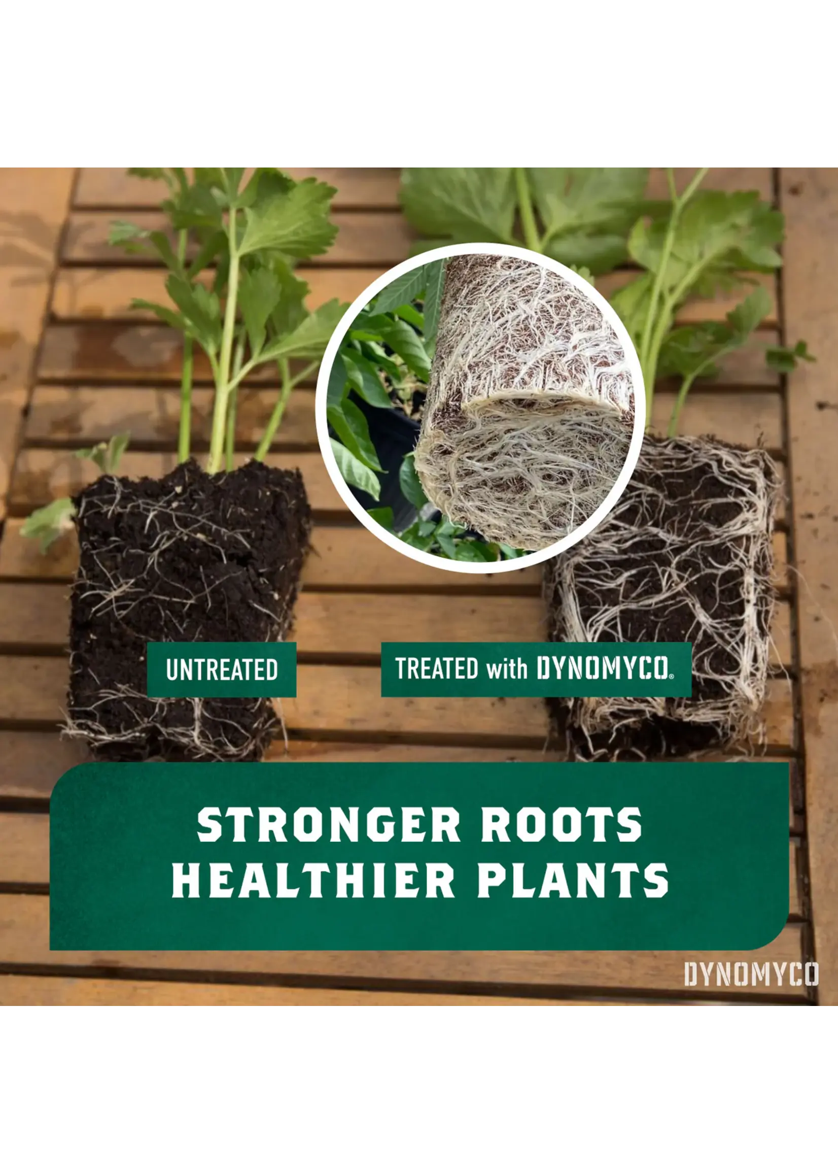 DYNOMYCO DYNOMYCO Granular Premium Mycorrhizal Inoculants 7oz