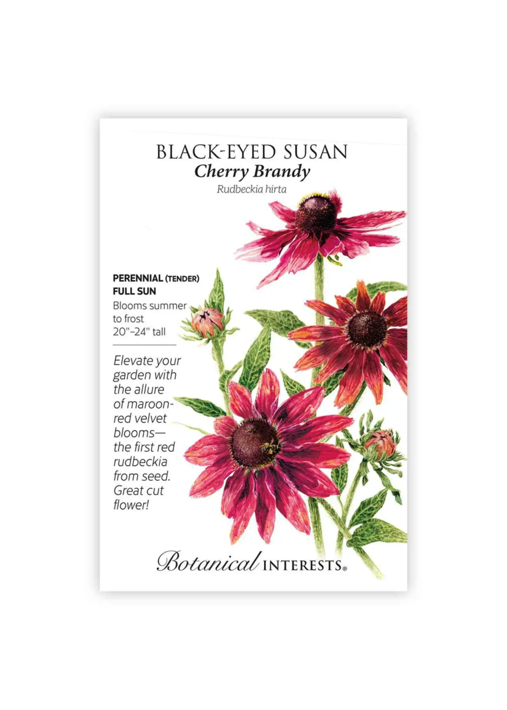 Botanical Interests Black-Eyed Susan Cherry Brandy