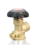 Air Unlimited Beer Gas TANK ONLY  (75% Nitrogen - 25% CO2)