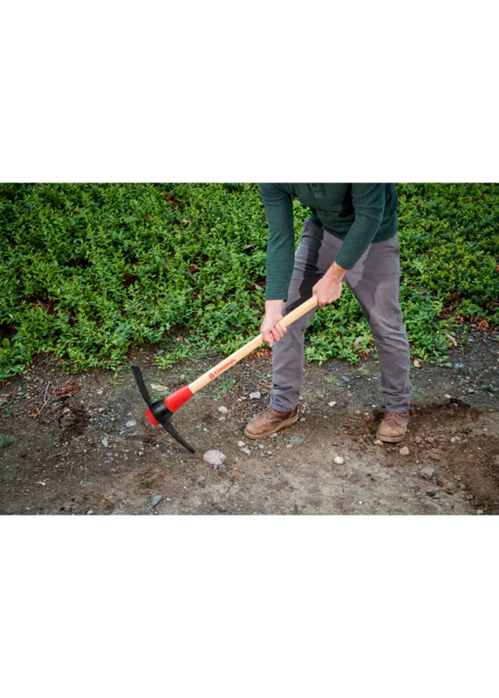 Corona Corona 5lb Wide Pick Mattock wih Hickory Handle Poly Guard