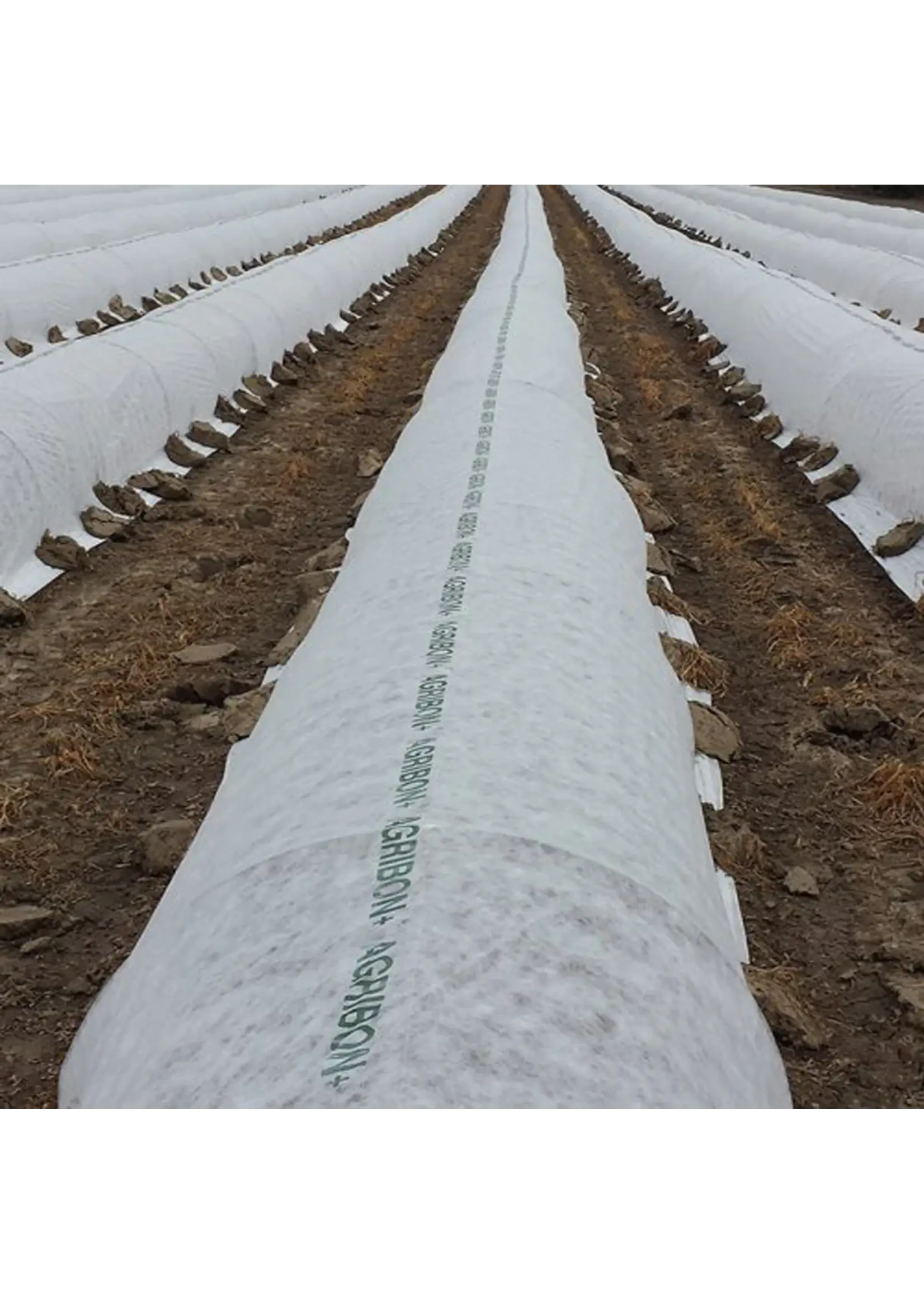 Agribon Agribon AG-19 Frost Protection Floating Row Cover