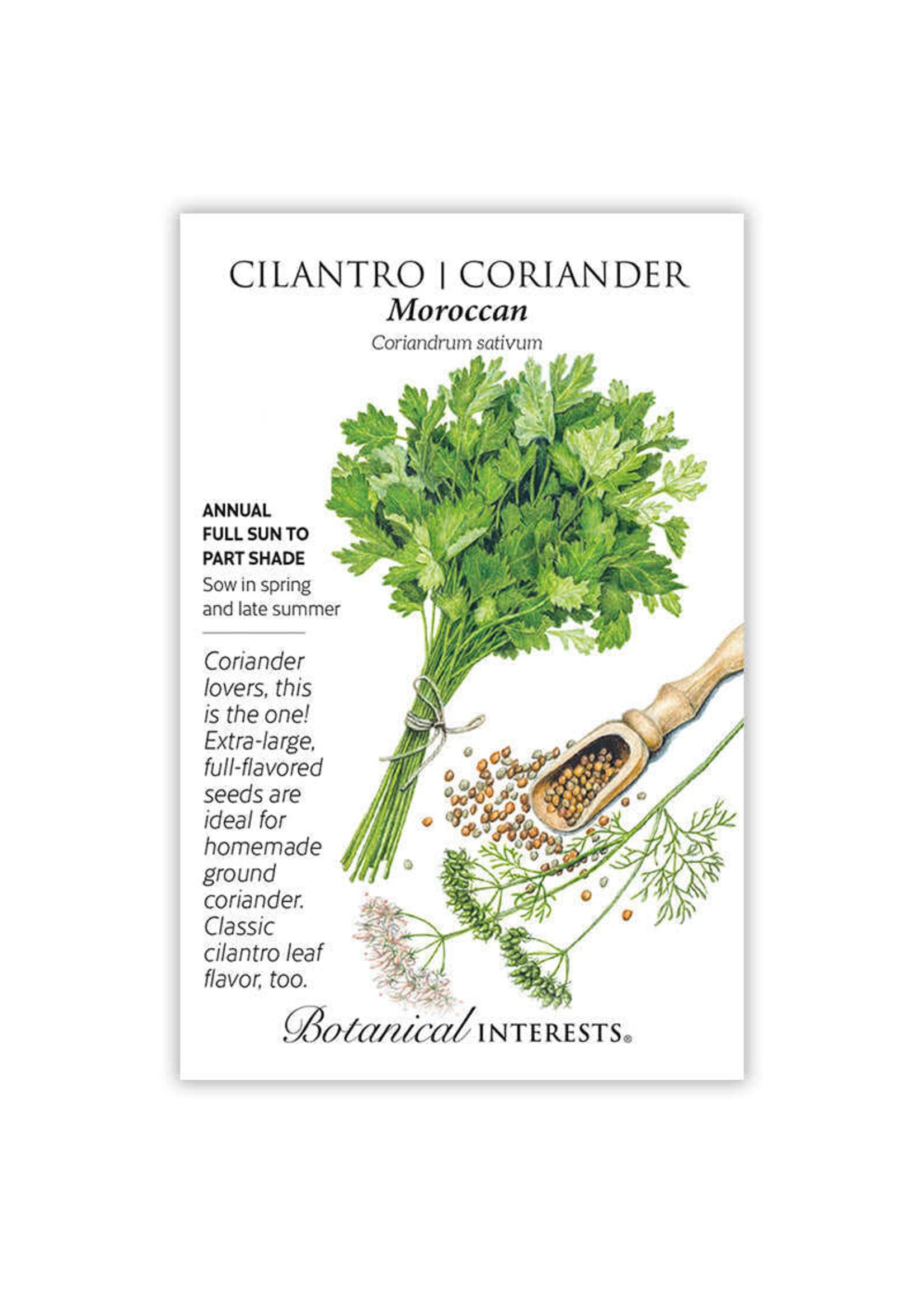 Botanical Interests Cilantro Coriander Moroccan