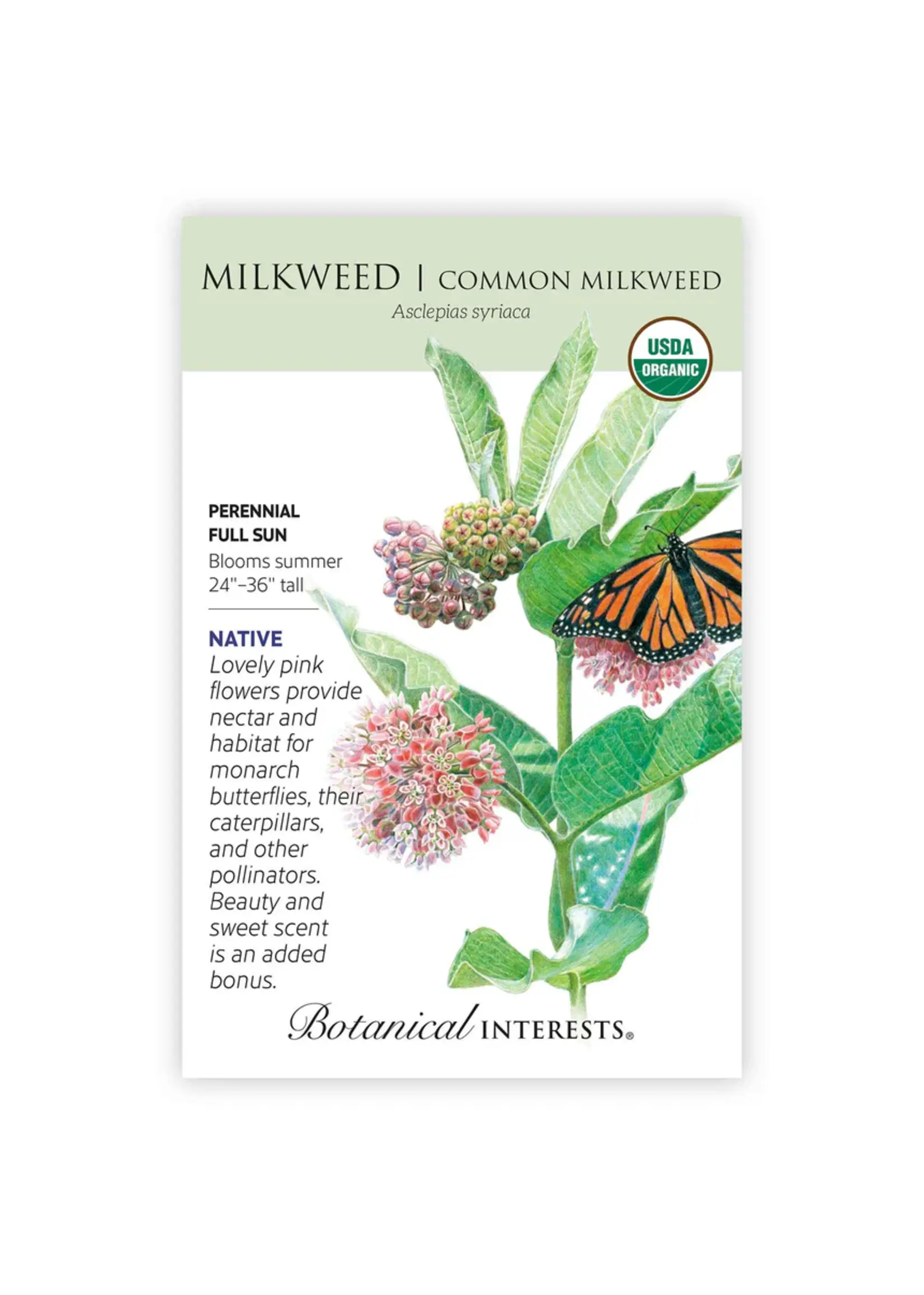 Botanical Interests Milkweed - Common Organic