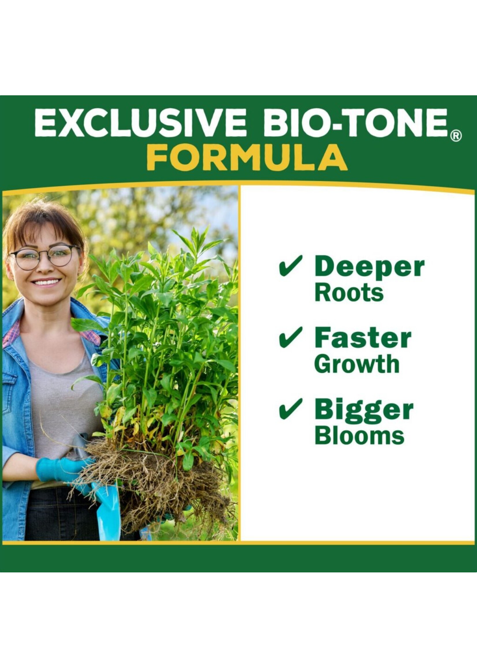 Espoma Espoma Organic Holly-Tone Acid Food 4-3-4