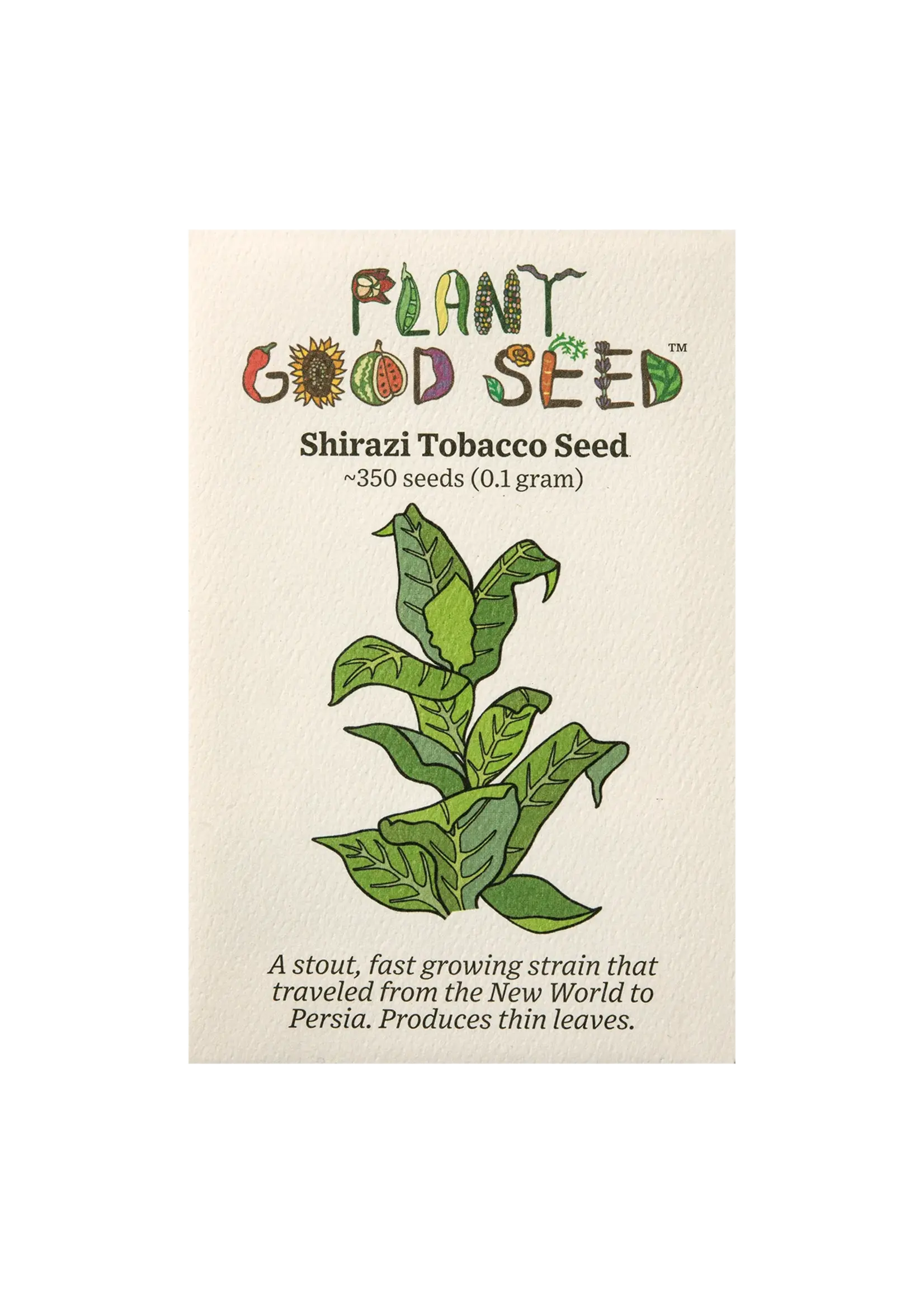 Plant Good Seed Company Tobacco Shirazi Organic
