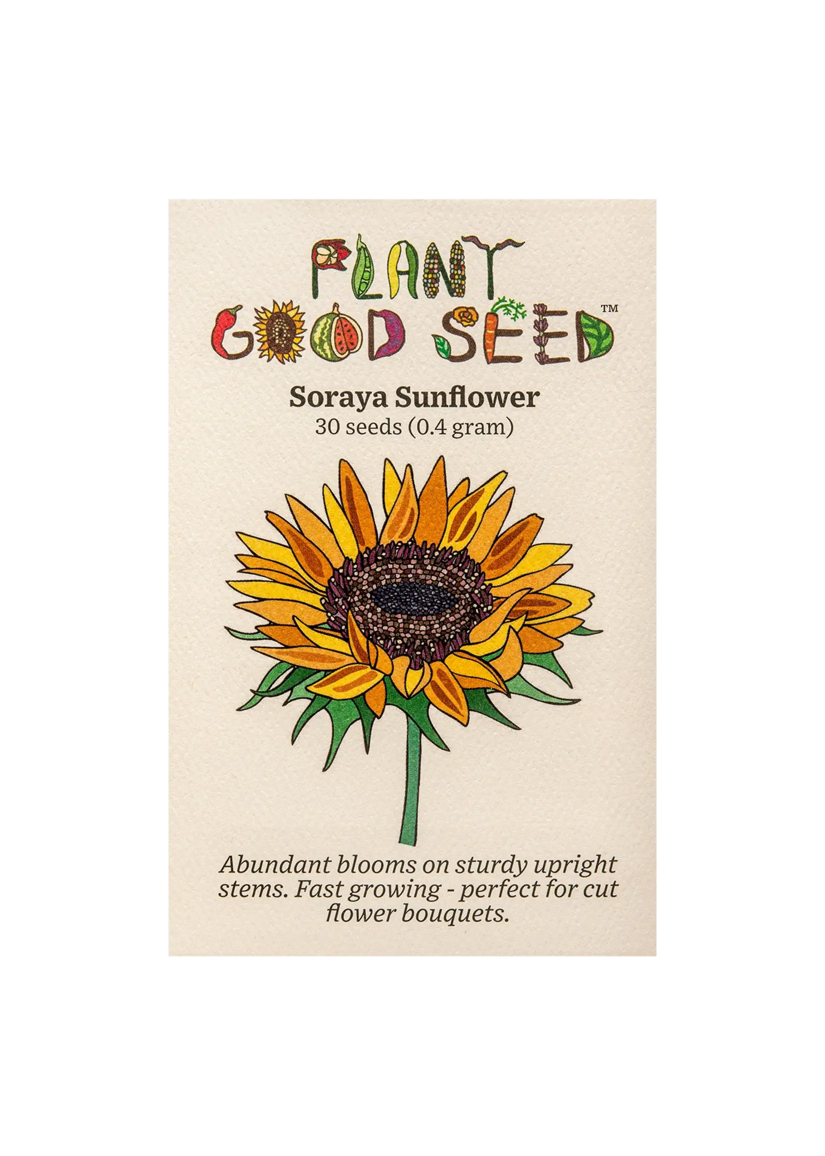Plant Good Seed Company Sunflower Soraya Organic