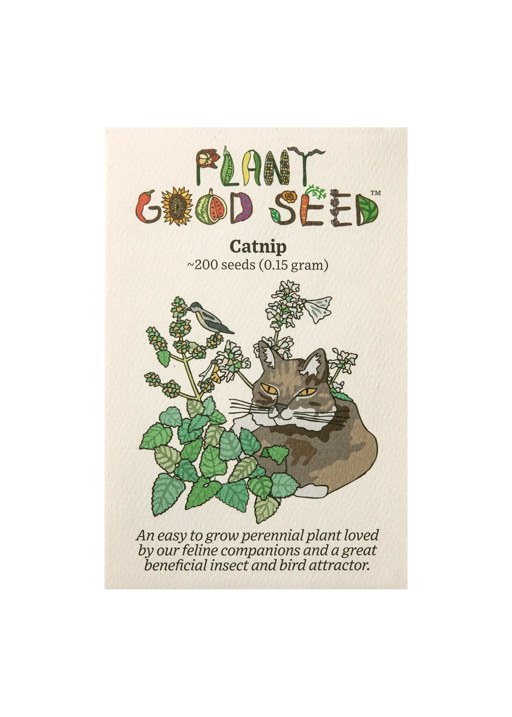 Plant Good Seed Company Catnip Organic