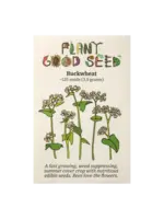 Plant Good Seed Company Buckwheat Organic Packet of 125 seeds