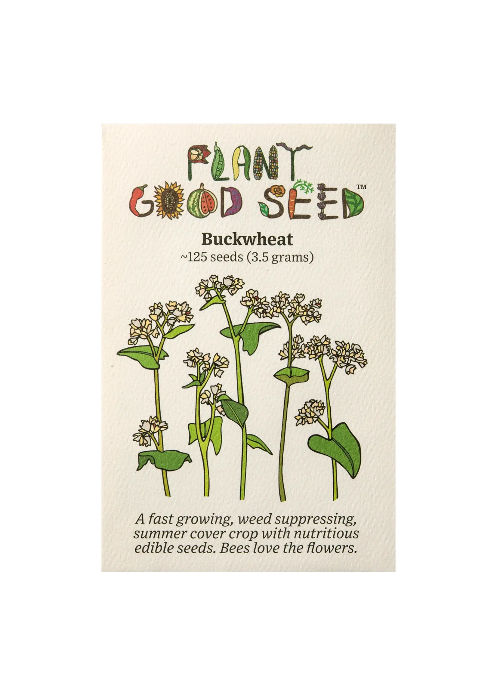 Plant Good Seed Company Buckwheat Organic Packet of 125 seeds