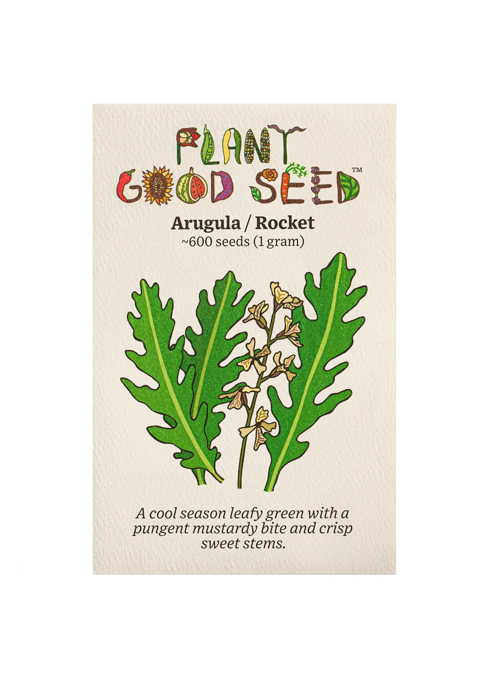 Plant Good Seed Company Arugula - Astro Organic
