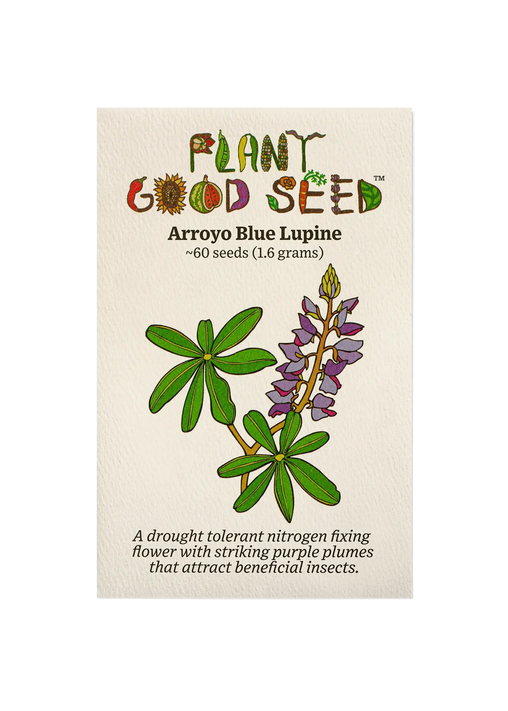 Plant Good Seed Company Lupine Flower - Arroyo Blue