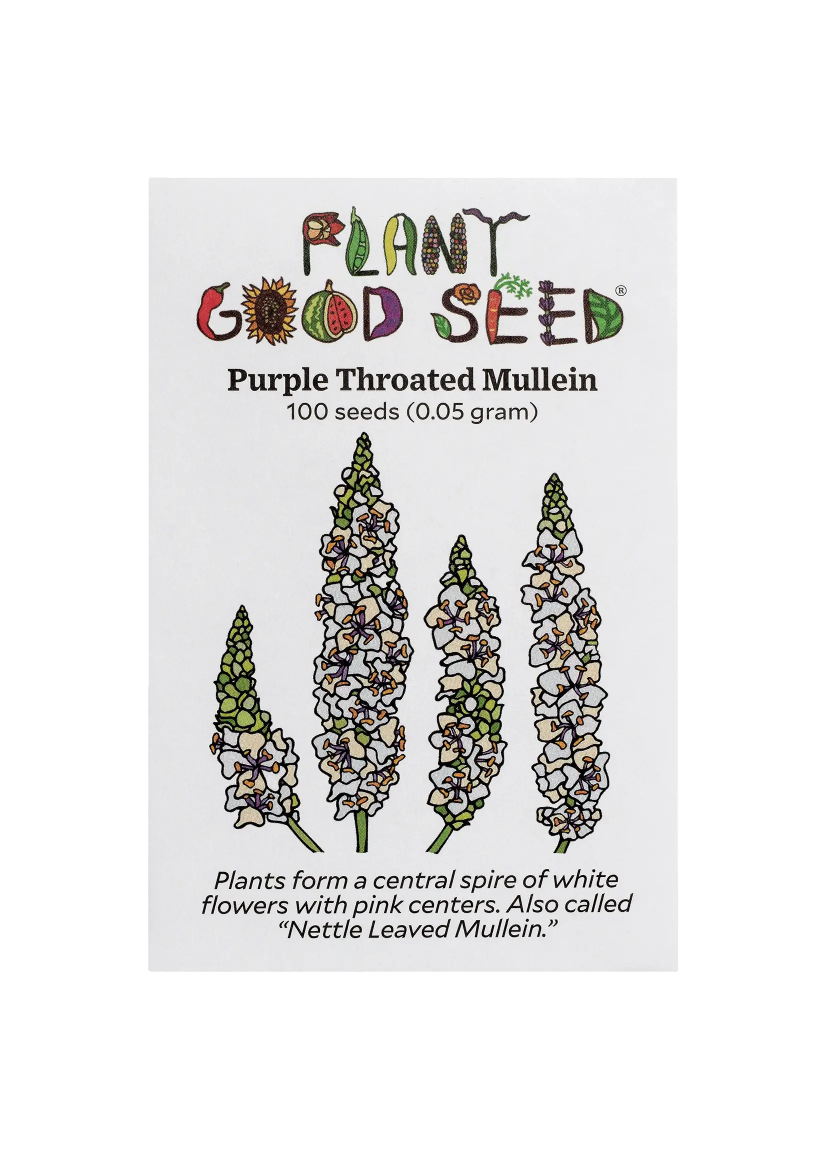 Plant Good Seed Company Mullein - Purple Throated Organic