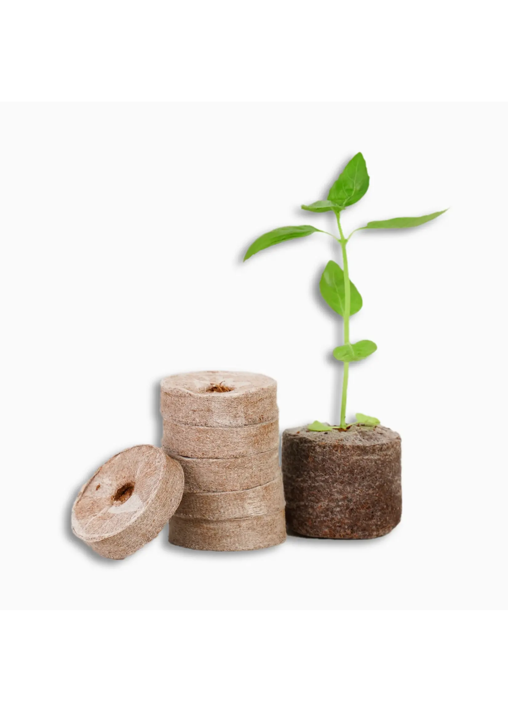 PlantBest PlantBest Coco Coir Pellets Refill 50 Pack 42mm
