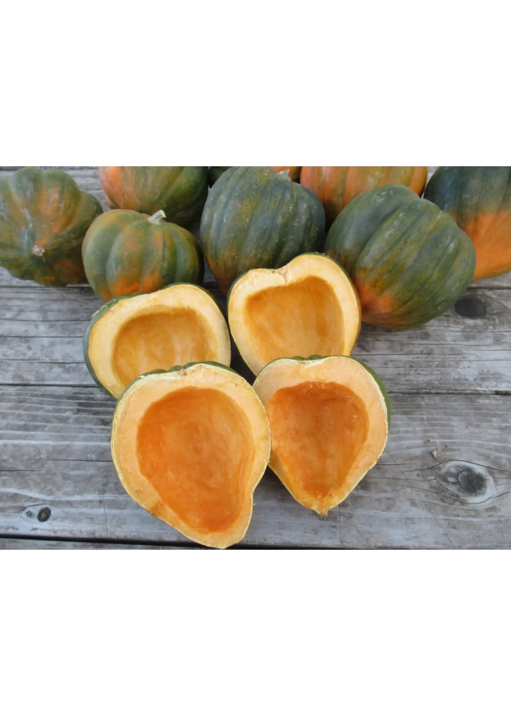 Redwood Seeds Sweet Reba Acorn Squash Organic