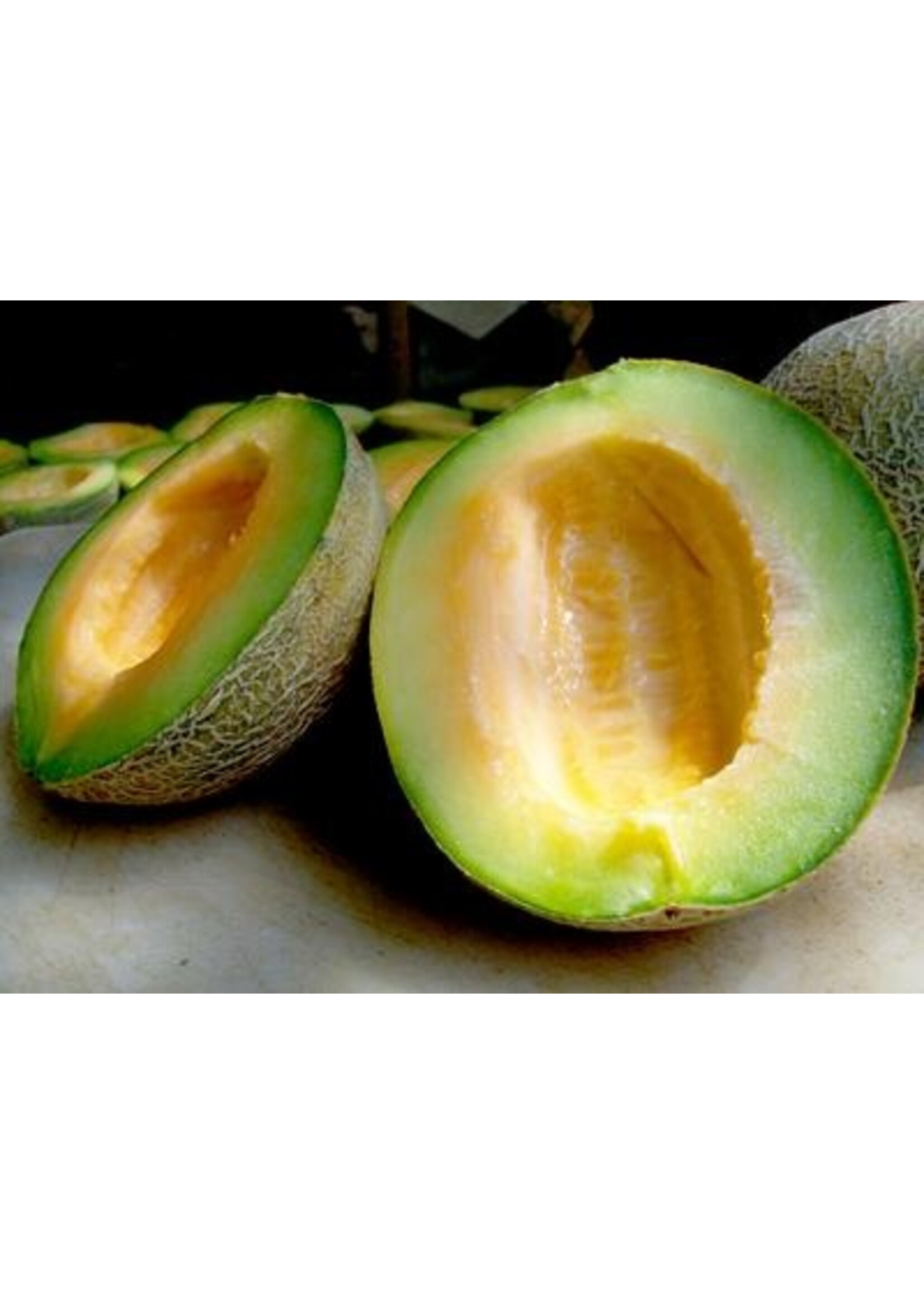 Redwood Seeds Ice Cream Melon Organic