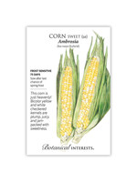Botanical Interests Corn Swt (bicolor) Ambrosia hybrid